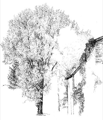 arbre mariage Bretagne