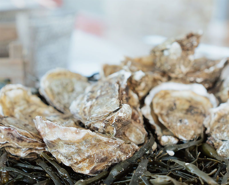 buffet traiteur mariage Bretagne